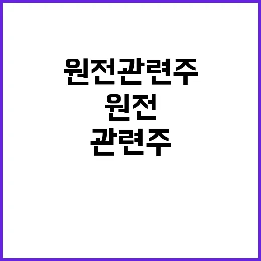 원전관련주 처음 볼 때 헷갈리지 않게 고르는 방법 - 요약