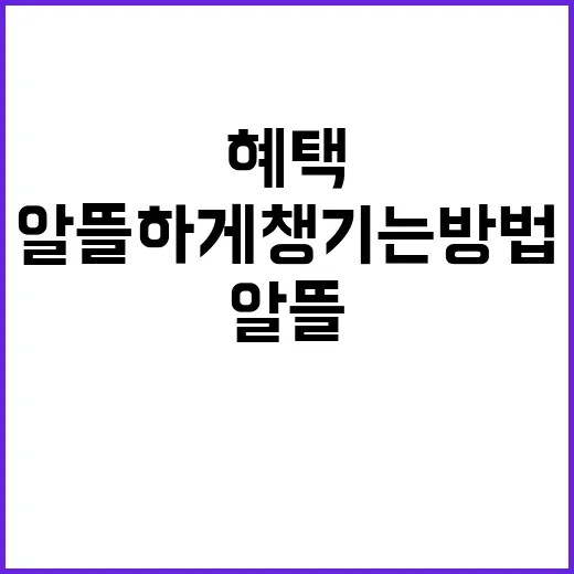 구청 행사 알뜰하게 챙기는 방법, 무료 혜택까지 놓치지 않으려면 이렇게 - 요약
