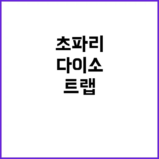 다이소 초파리 트랩 제대로 쓰는 방법, 실패 줄이려면 이렇게 - 요약