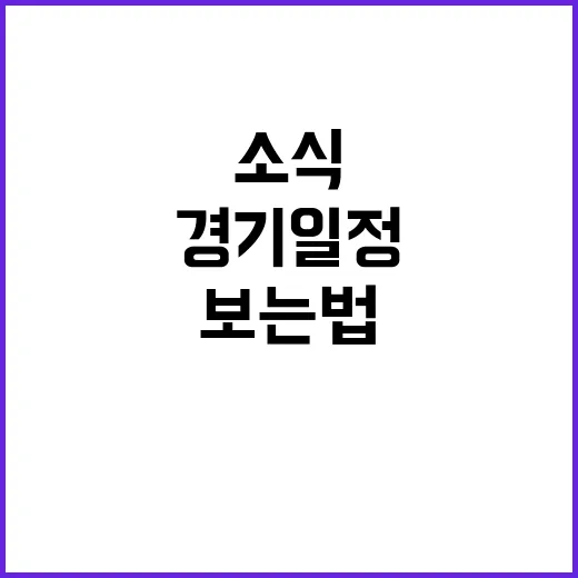 홍명보 미국 소식 확인하는 방법, 경기 일정부터 기사 걸러보는 법까지 - 요약