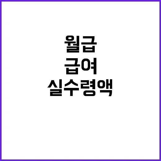 급여계산기 제대로 쓰는 방법, 월급 실수령액 헷갈릴 때 이렇게 넣으면 됩니다 - 요약
