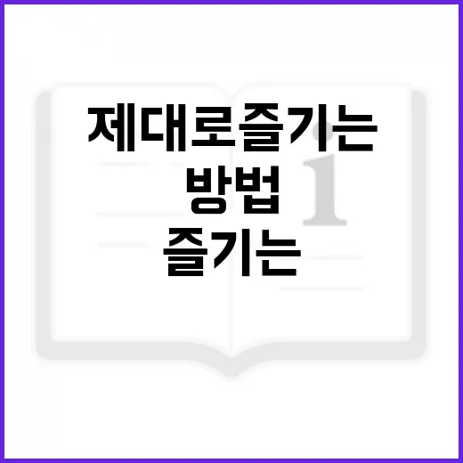 남편은 분명 성기사였는데 제대로 즐기는 방법 - 요약