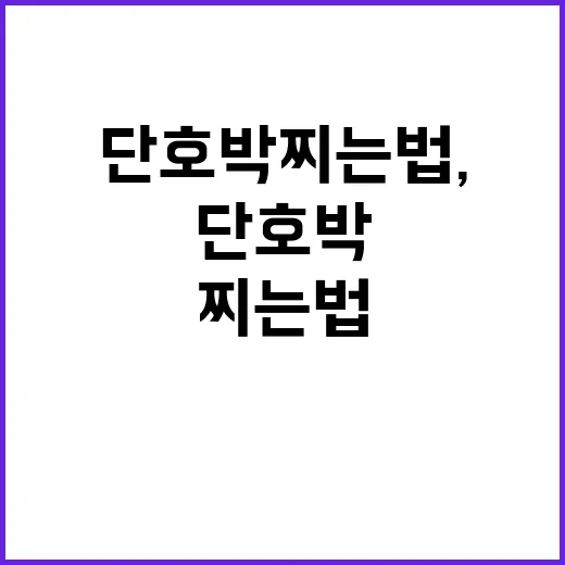 단호박 찌는법, 물러지지 않고 달게 찌려면 이렇게 하세요 - 요약
