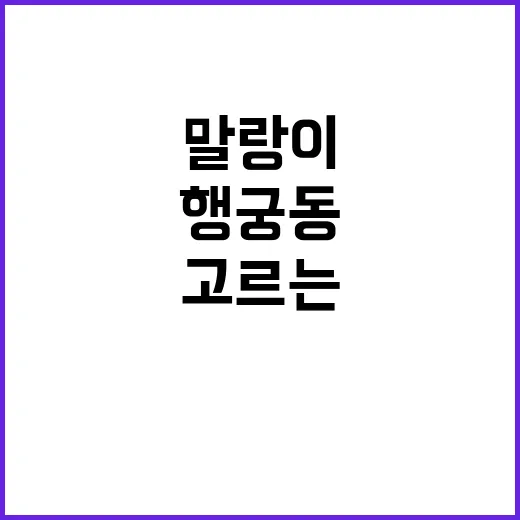 행궁동 말랑이 구경하고 실패 없이 고르는 방법 - 요약