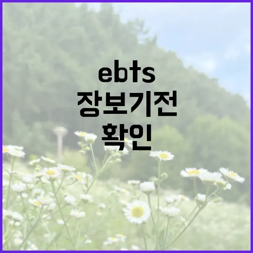EBTS 처음 쓰는 방법, 장보기 전에 확인할 것들 - 요약