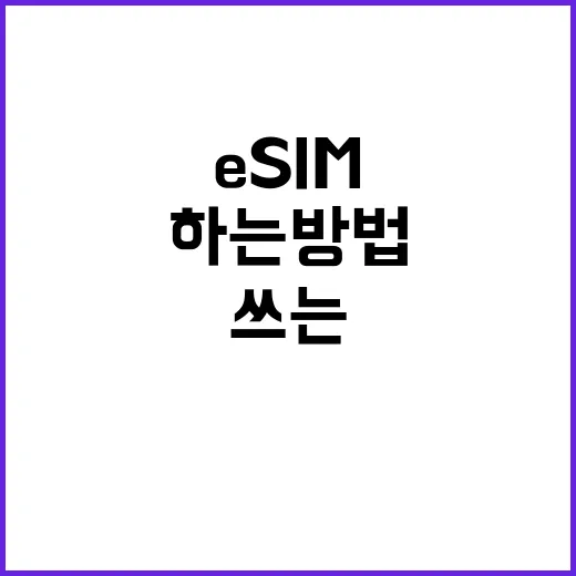 ESIM 처음 쓰는 분을 위한 설치부터 확인까지 하는 방법 - 요약