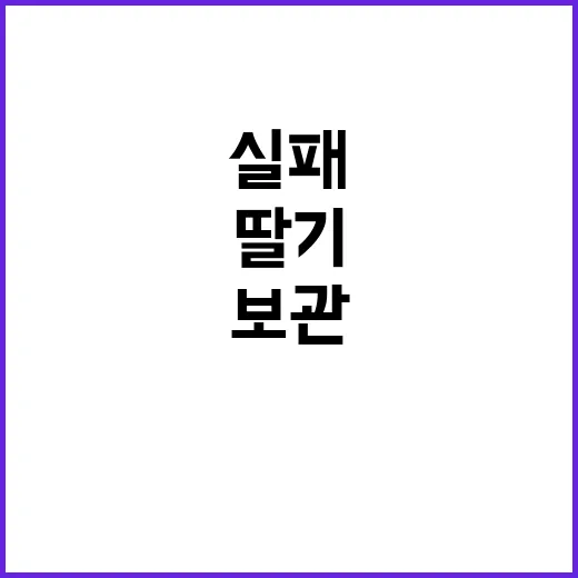 딸기케이크 실패 없이 고르는 방법, 예약부터 보관까지 이렇게 하면 덜 아깝습니다 - 요약