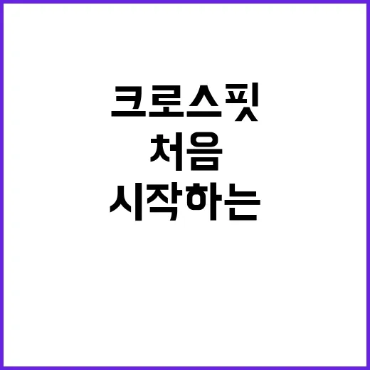 크로스핏 처음 시작하는 방법, 운동복부터 수업 선택까지 이렇게 준비하세요 - 요약