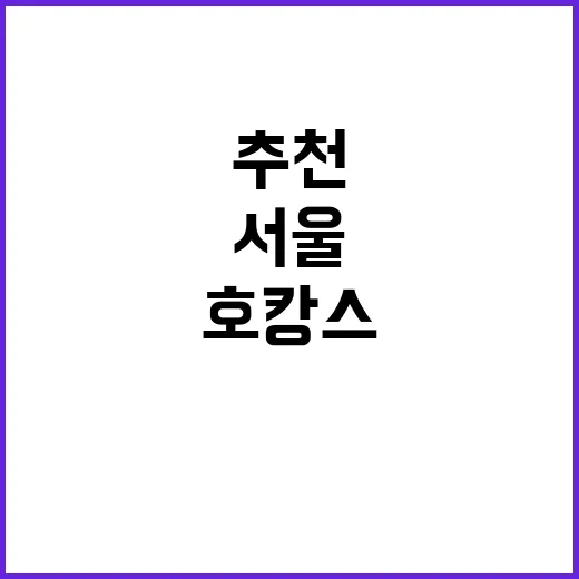 서울호캉스추천 실패 줄이는 방법, 목적별로 고르면 훨씬 덜 아깝습니다 - 요약