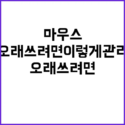 마우스 오래 쓰려면 이렇게 관리하는 방법 - 요약