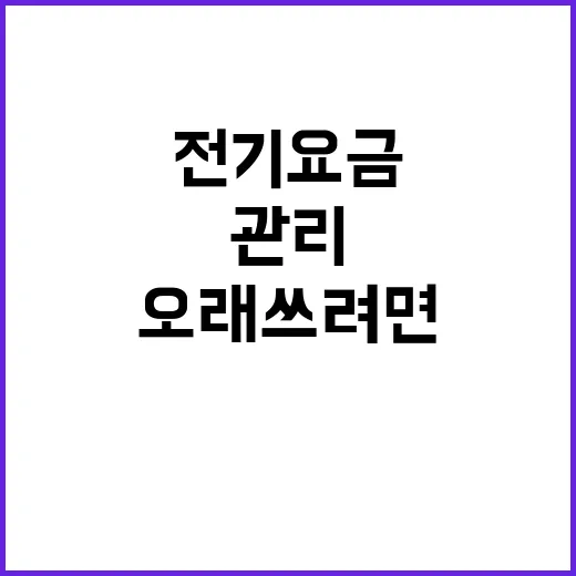 셋톱박스 전기요금 줄이고 오래 쓰려면 이렇게 관리하세요 - 요약