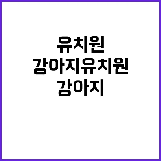 강아지유치원 고르려면 이렇게 확인하세요 - 요약