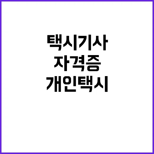 택시기사 되는 방법, 자격증부터 법인택시·개인택시 차이까지 현실적으로 준비하기 - 요약