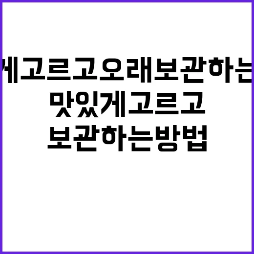 딸기케이크 맛있게 고르고 오래 보관하는 방법 - 요약