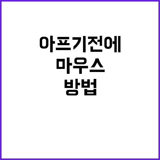 마우스 오래 편하게 쓰는 방법, 손목 아프기 전에 이렇게 골라보세요 - 요약