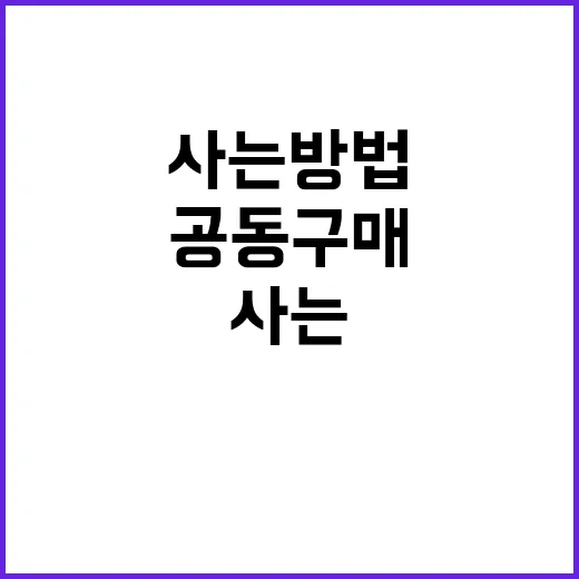 공동구매 초보자가 손해 덜 보고 알뜰하게 사는 방법 - 요약