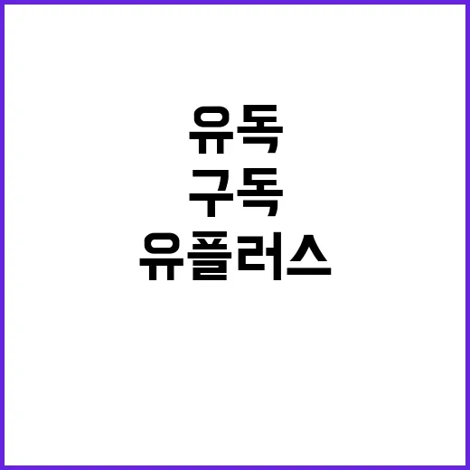 유플러스구독 알뜰하게 고르는 방법, 유독 혜택 헛돈 안 쓰려면 이렇게 - 요약