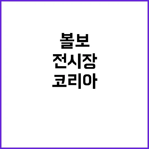 볼보코리아 구매 전 확인하는 방법, 전시장부터 서비스까지 알뜰하게 챙기기 - 요약