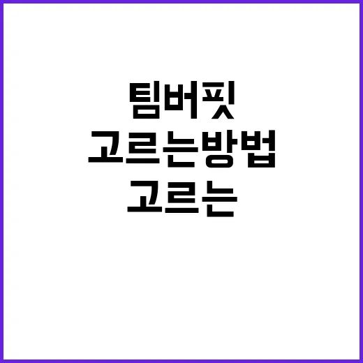팀버핏 처음 이용하려면 이렇게 확인하고 고르는 방법 - 요약