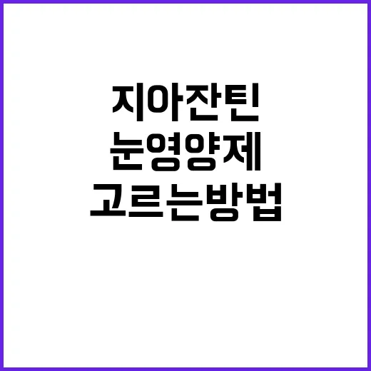 지아잔틴 고르는 방법, 눈 영양제 살 때 성분표는 이렇게 보세요 - 요약