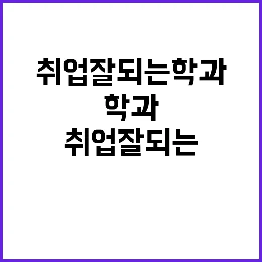 취업잘되는학과 고르려면 이렇게 비교하세요 - 요약