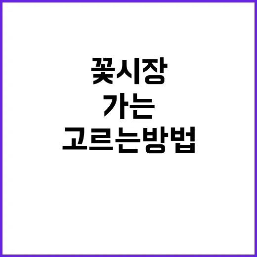 대전꽃시장 처음 가는 사람도 꽃 저렴하게 고르는 방법 - 요약