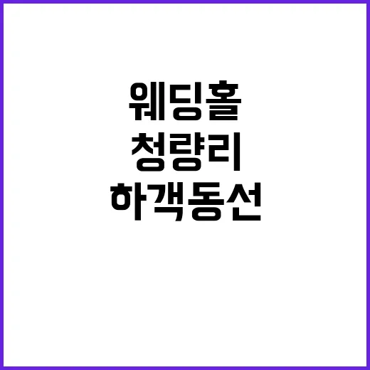 청량리웨딩홀 고르는 방법, 하객 동선부터 견적까지 이렇게 비교하세요 - 요약