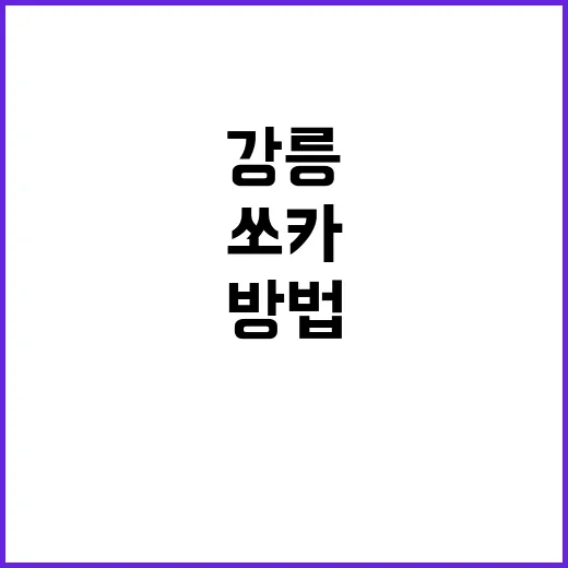 강릉쏘카 처음 빌릴 때 덜 헤매는 방법 - 요약