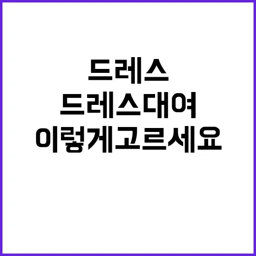드레스대여 처음 하려면 이렇게 고르세요 - 요약