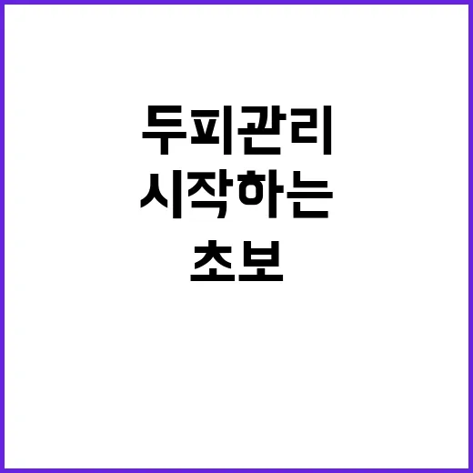 두피관리 초보라면 집에서 이렇게 시작하는 방법 - 요약