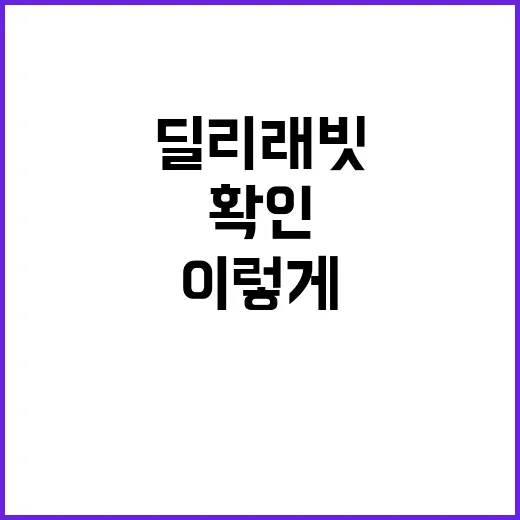 딜리래빗 처음 이용하려면 이렇게 확인하세요 - 요약