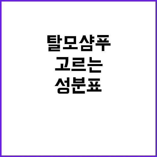 탈모샴푸추천 받기 전에 성분표부터 고르는 방법 - 요약