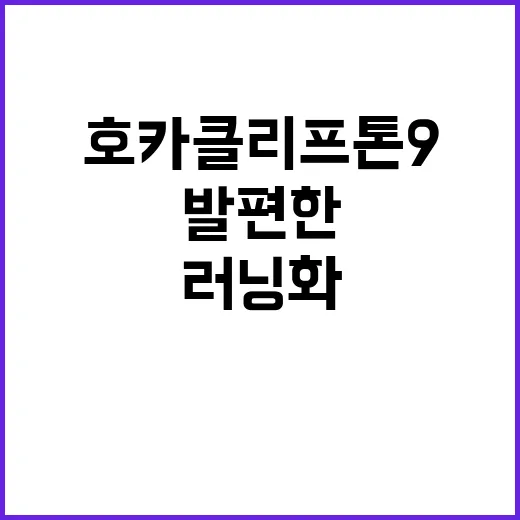 호카 클리프톤 9 고르는 방법, 발 편한 러닝화 찾을 때 이렇게 보세요 - 요약