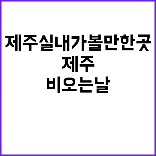 제주실내가볼만한곳 비 오는 날 동선 짜는 방법 - 요약