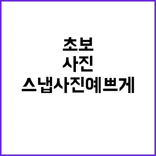 스냅사진 예쁘게 남기는 방법, 초보도 실패 줄이려면 이렇게 - 요약