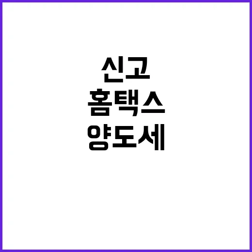 양도세신고 처음이라면 기한부터 홈택스 제출까지 하는 방법 - 요약