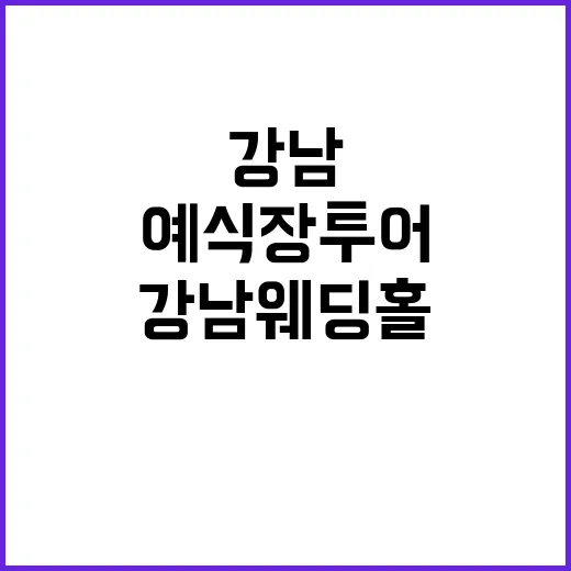 강남웨딩홀 고르는 방법, 예식장 투어 전에 꼭 비교할 것들 - 요약