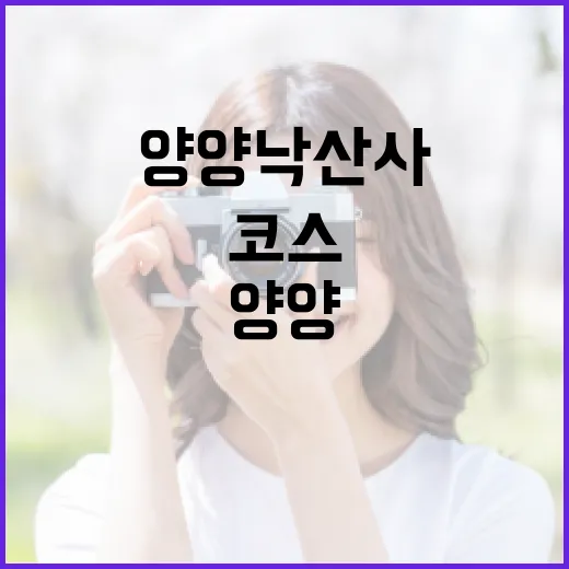 양양 낙산사 편하게 둘러보는 방법, 주차부터 산책 코스까지 - 요약