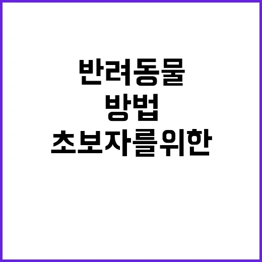 초보자를 위한 반려동물 생활비 줄이는 방법 - 요약