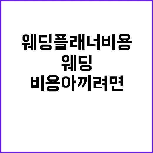 웨딩플래너비용 아끼려면 이렇게 비교하세요 - 요약