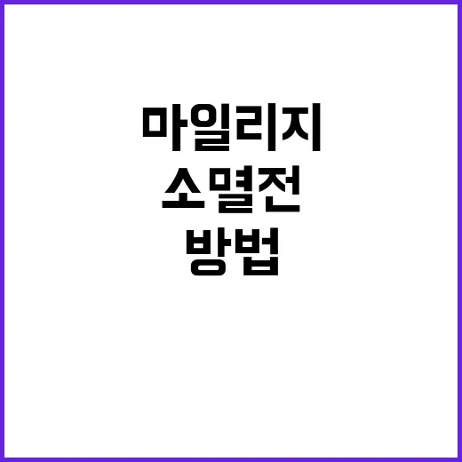 마일리지 제대로 모으고 쓰는 방법, 소멸 전에 챙기는 생활형 팁 - 요약