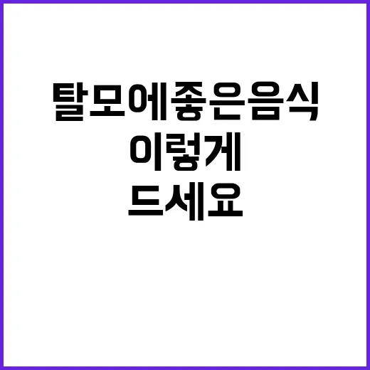 탈모에좋은음식 고르려면 이렇게 드세요 - 요약