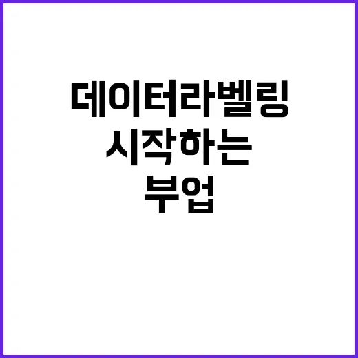 데이터라벨링 처음 시작하는 방법, 집에서 부업처럼 해보려면 이렇게 준비하세요 - 요약