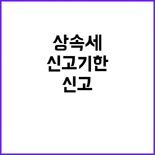 디지니플러스 구독료 아끼려면 이렇게 고르세요 - 요약