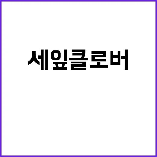 세잎클로버 뜻 제대로 알고 선물하려면 이렇게 기억하세요 - 요약