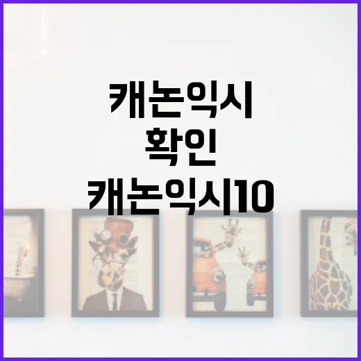 캐논 익시 10 중고로 사려면 이렇게 확인하는 방법 - 요약