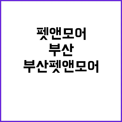 부산 펫앤모어 처음 가려면 이렇게 준비하세요 - 요약
