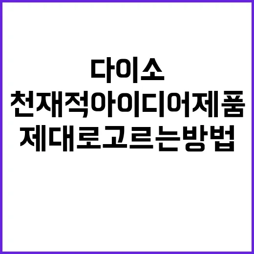 다이소 천재적 아이디어 제품 제대로 고르는 방법 - 요약