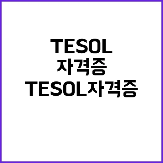 TESOL 자격증 시작하려면 이렇게 고르세요 - 요약