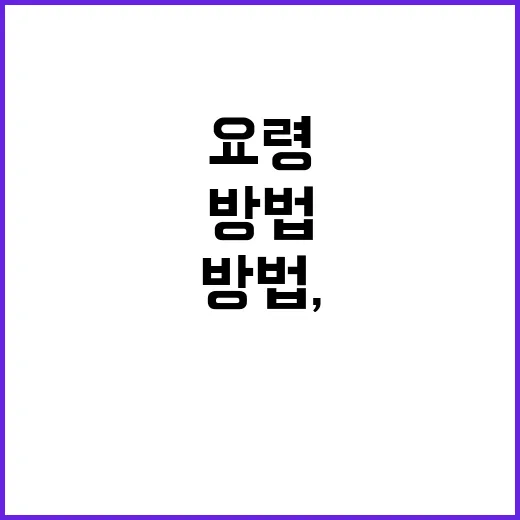 부산CCTV 확인하는 방법, 길 막힘과 골목 안전까지 알뜰하게 보는 요령 - 요약